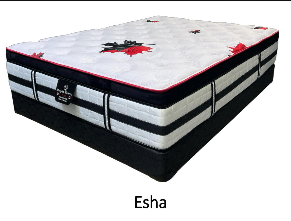 Esha Euro Top Mattress