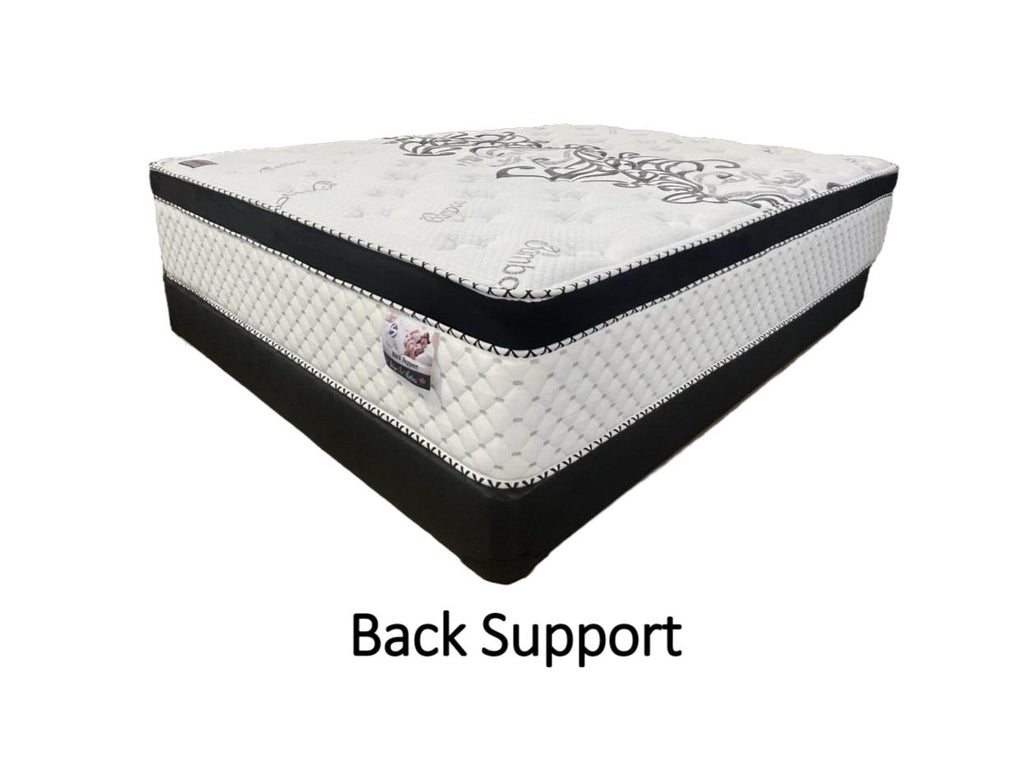 Back Support Euro Top and Tight Top Mattress