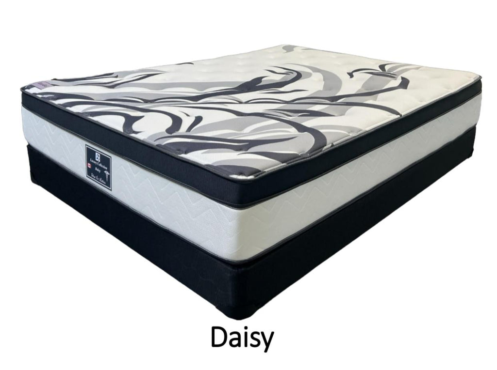 Daisy Euro Top Mattress - front