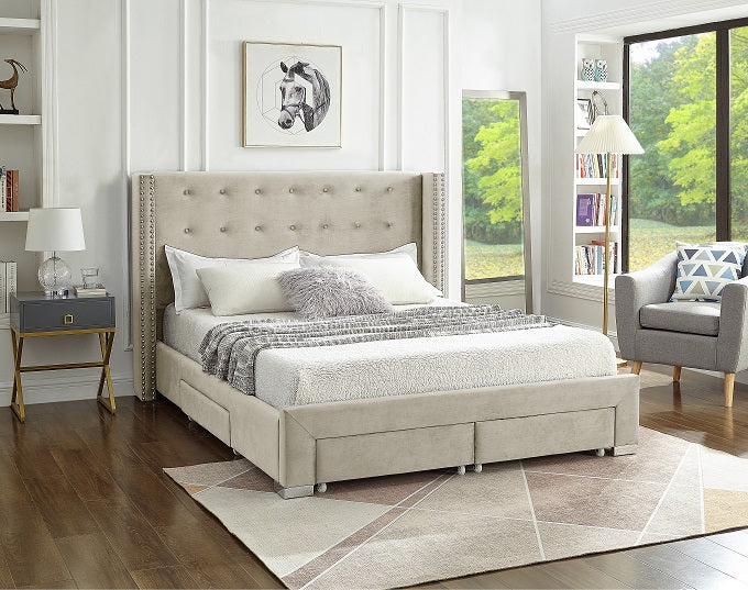 Bellwoods creme velvet wing bed with nailhead trim